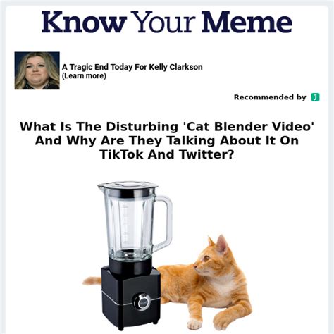 cat in blender twitter full video|Twitter. It’s what’s happening / Twitter